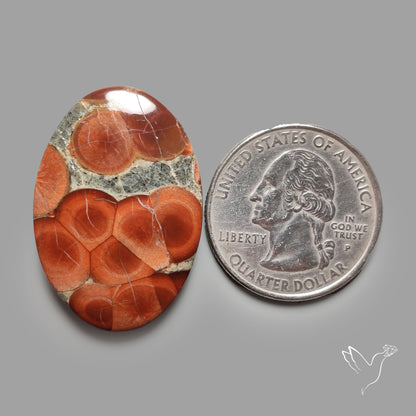 Peanut Wood Obsidian Cabochon