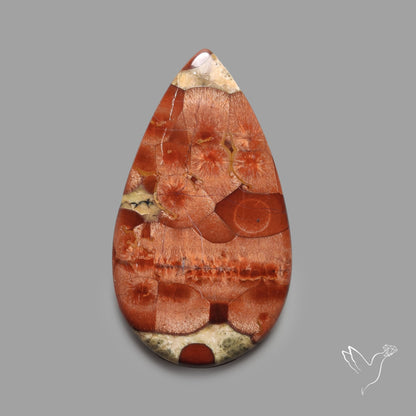 Peanut Wood Obsidian Cabochon