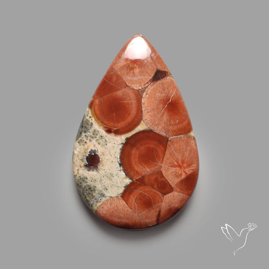 Peanut Wood Obsidian Cabochon