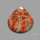 Peanut Wood Obsidian Cabochon