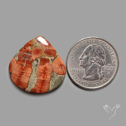 Peanut Wood Obsidian Cabochon