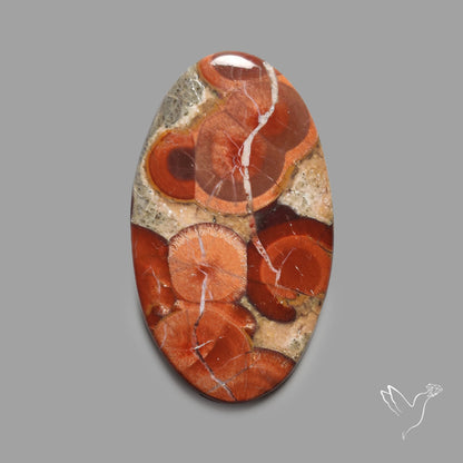 Peanut Wood Obsidian Cabochon