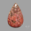 Orbicular Ocean Jasper Cabochon