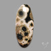 Orbicular Ocean Jasper Cabochon