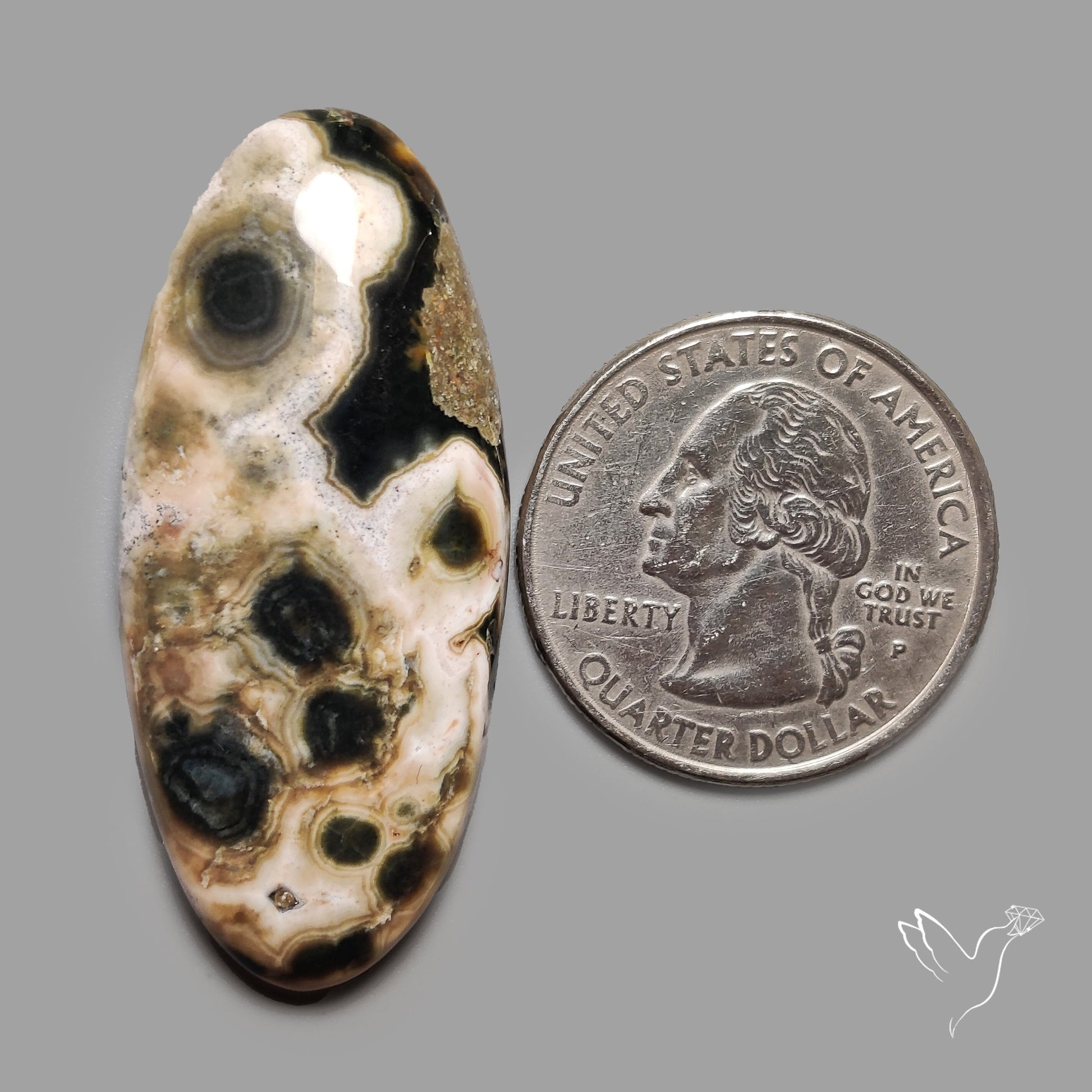 Orbicular Ocean Jasper Cabochon