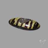 Leopard Coated Chalcedony Druzy