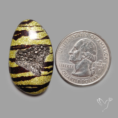 Leopard Coated Chalcedony Druzy