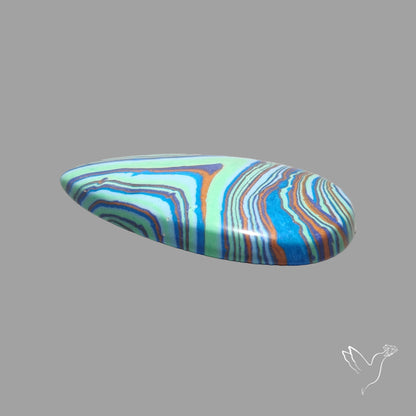 Rainbow Calcilica Cabochon
