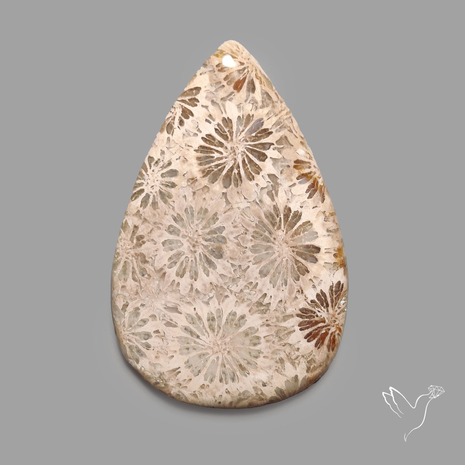 Fossil Coral Cabochon