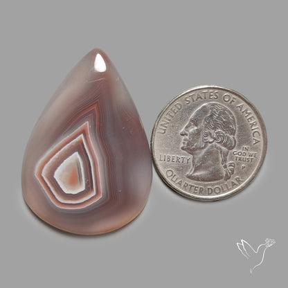 Botswana Agate Cabochon