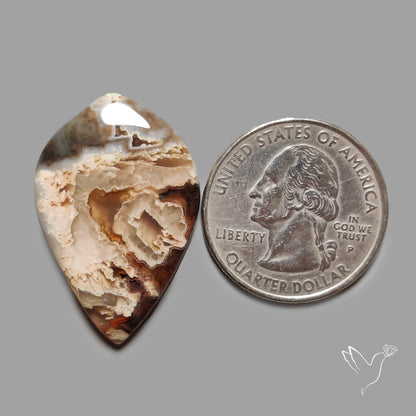 Turkish Tube Agate Stick Agate Cabochon