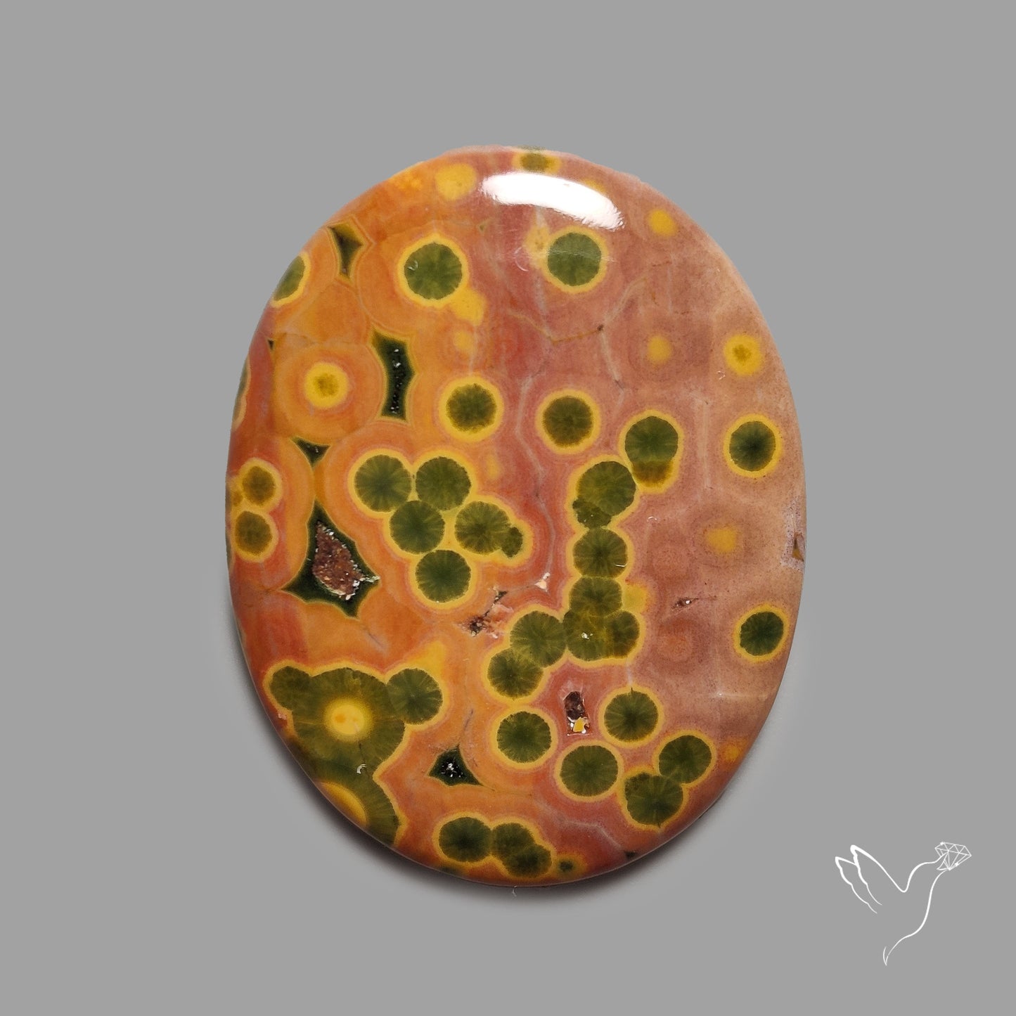 Orbicular Ocean Jasper Cabochon