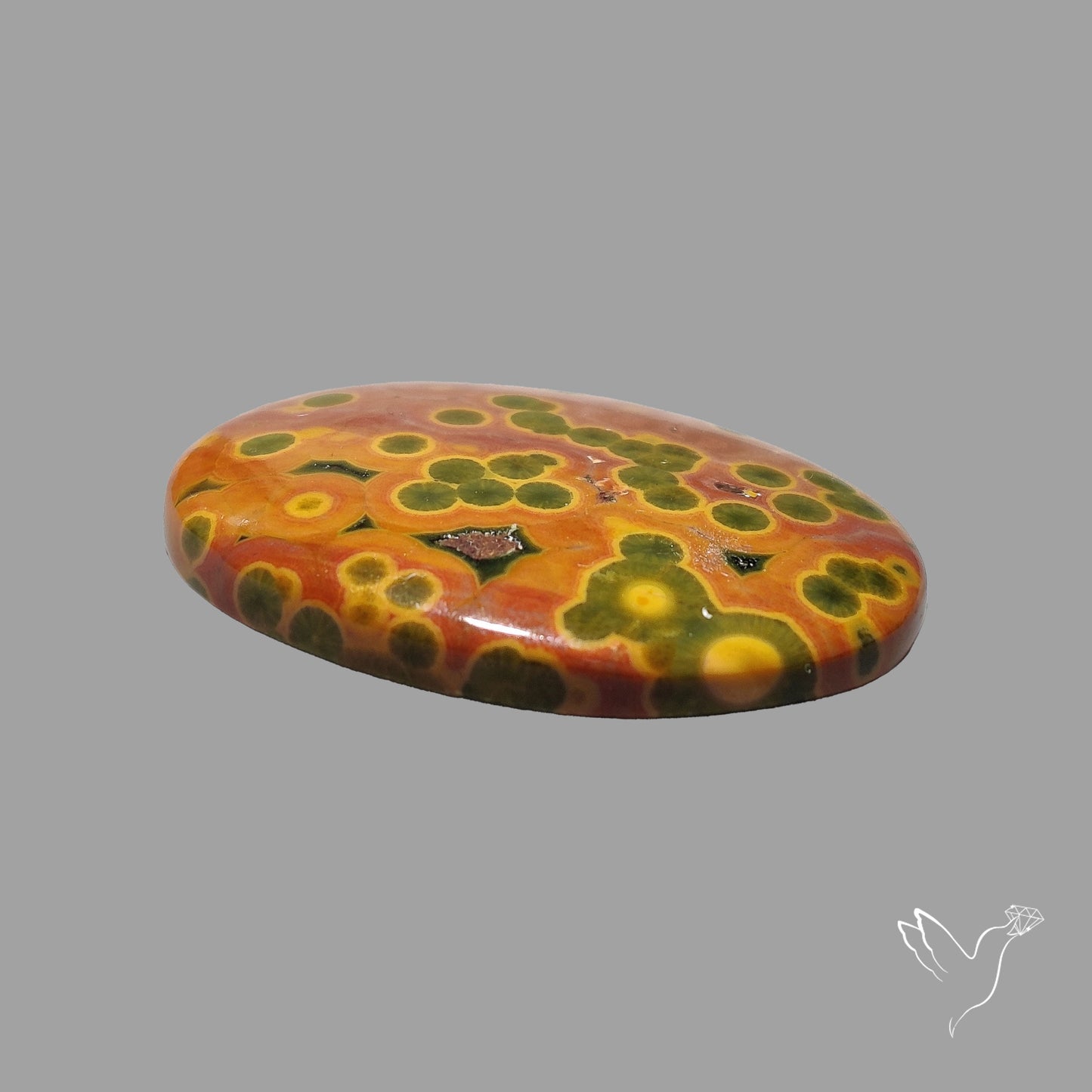 Orbicular Ocean Jasper Cabochon
