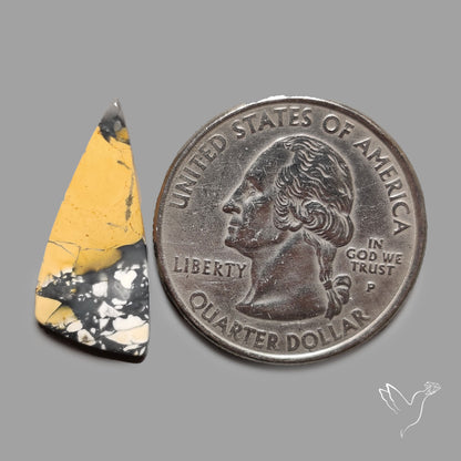 Maligano Japser Cabochon