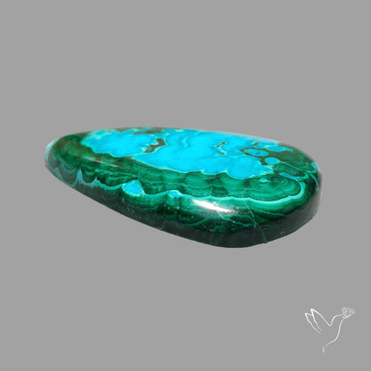 Chrysocolla In Malachite Cabochon