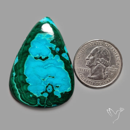 Chrysocolla In Malachite Cabochon
