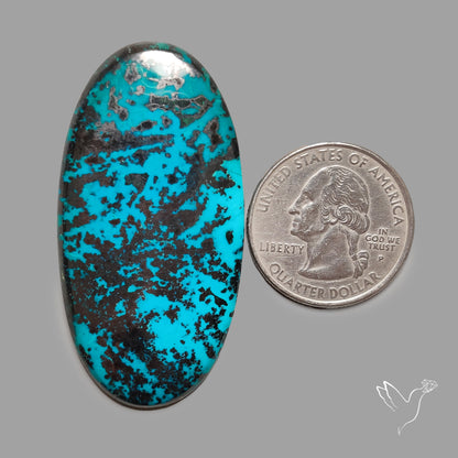 Shattuckite Cabochon