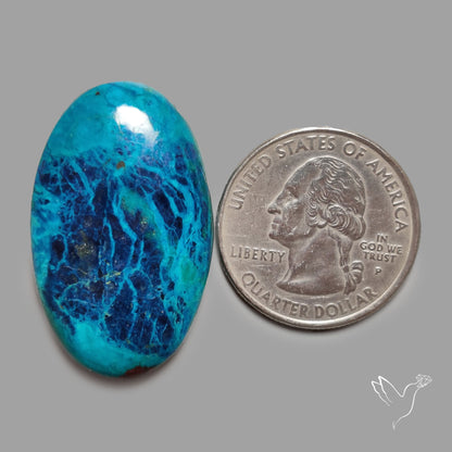 Shattuckite with Azurite Cabochon