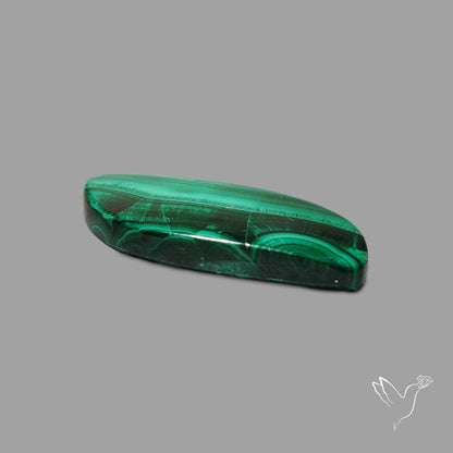 Malachite with Chattoyancy Cabochon