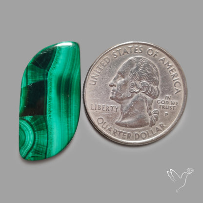 Malachite with Chattoyancy Cabochon
