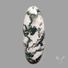 Tree Agate Cabochon
