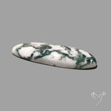Tree Agate Cabochon