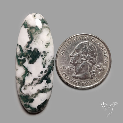 Tree Agate Cabochon