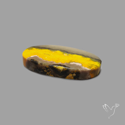 Bumble Bee Jasper Cabochon