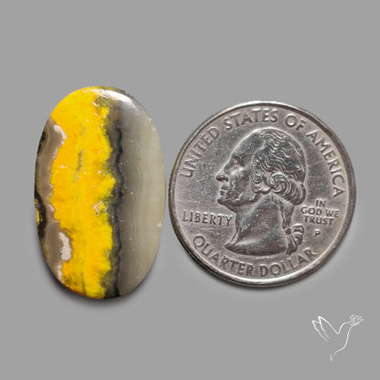 Bumble Bee Jasper Cabochon