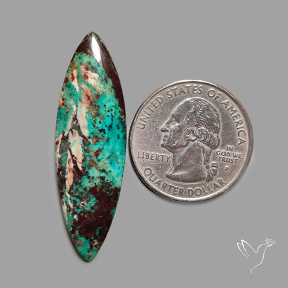 Sonora Sunrise Chrysocolla