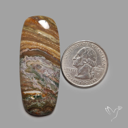 Ocean Jasper Cabochon