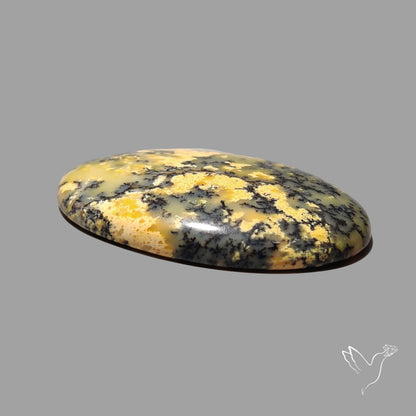 Australian Yellow Dendritic Agate Cabochon