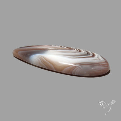 Botswana Agate Cabochon