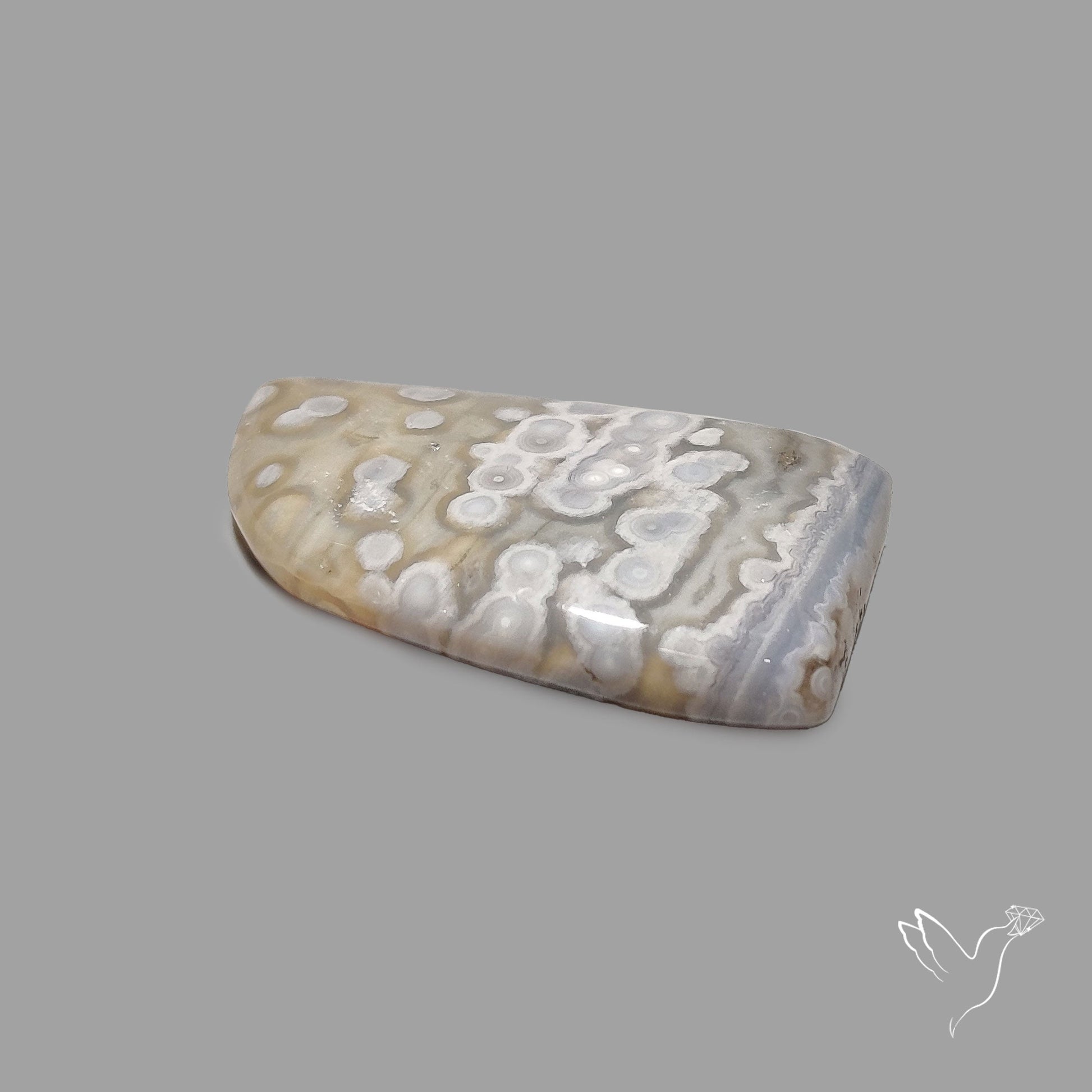 Orbicular Ocean Jasper Cabochon