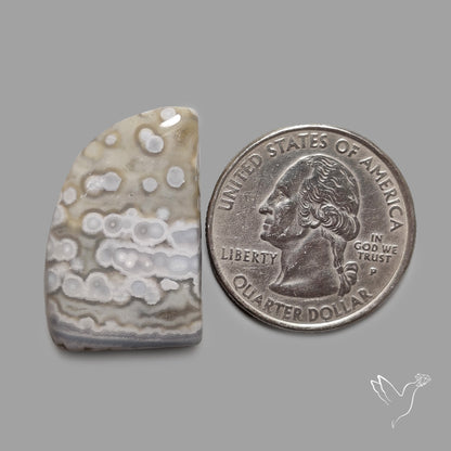 Orbicular Ocean Jasper Cabochon