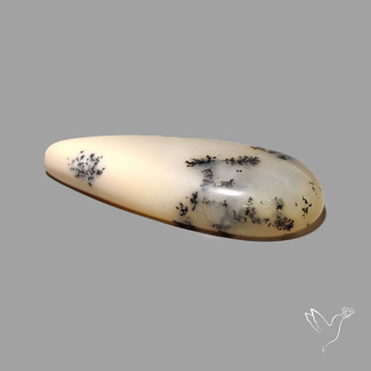Scenic Dendrititc Opal Cabochon