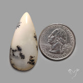 Scenic Dendrititc Opal Cabochon