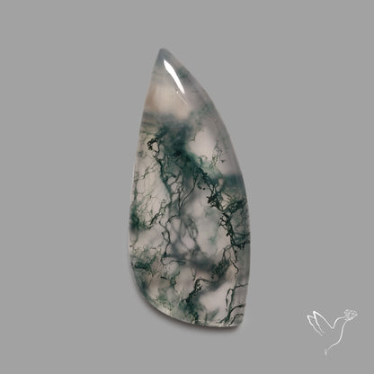 Moss Agate Cabochon