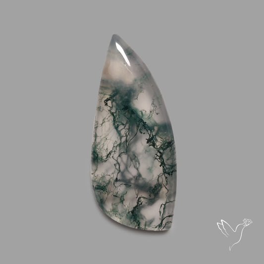 Moss Agate Cabochon