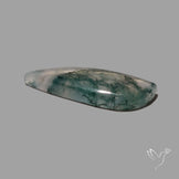 Moss Agate Cabochon