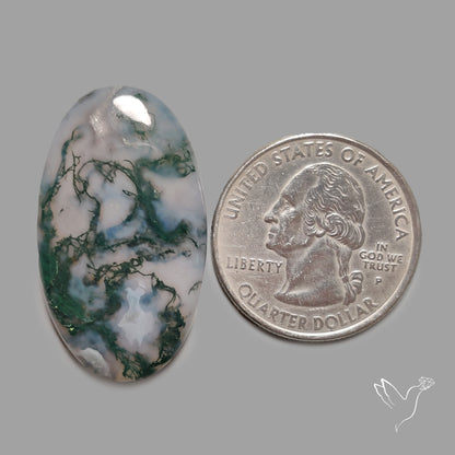 Moss Agate Cabochon