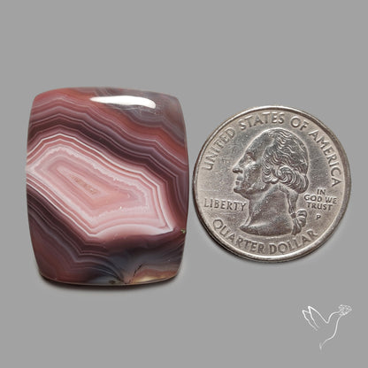 Botswana Agate Cabochon