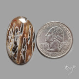 Turkish Tube Agate Stick Agate Cabochon