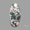 Tree Agate Cabochon