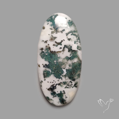 Tree Agate Cabochon