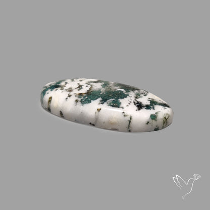Tree Agate Cabochon