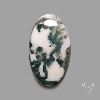 Tree Agate Cabochon