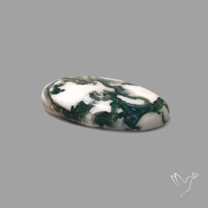 Tree Agate Cabochon