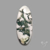 Tree Agate Cabochon