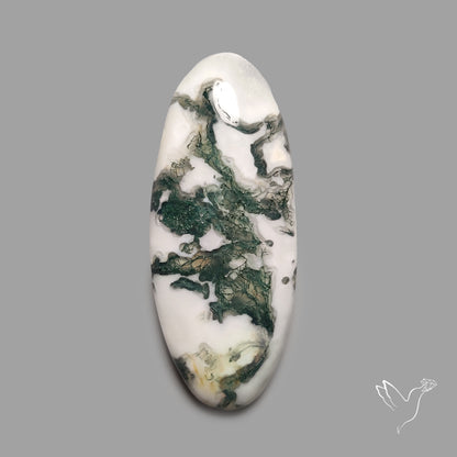 Tree Agate Cabochon